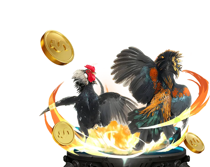 Chương trình VIP 77win bet