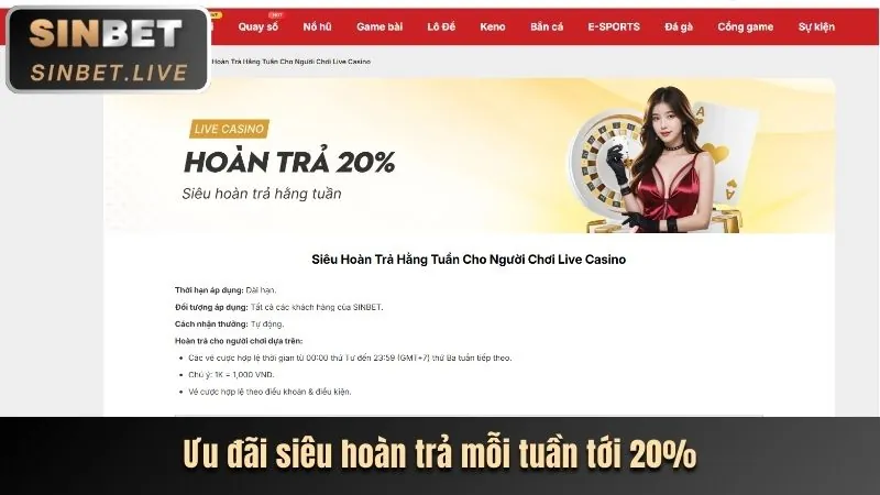 Các ưu đãi độc quyền tại VP88